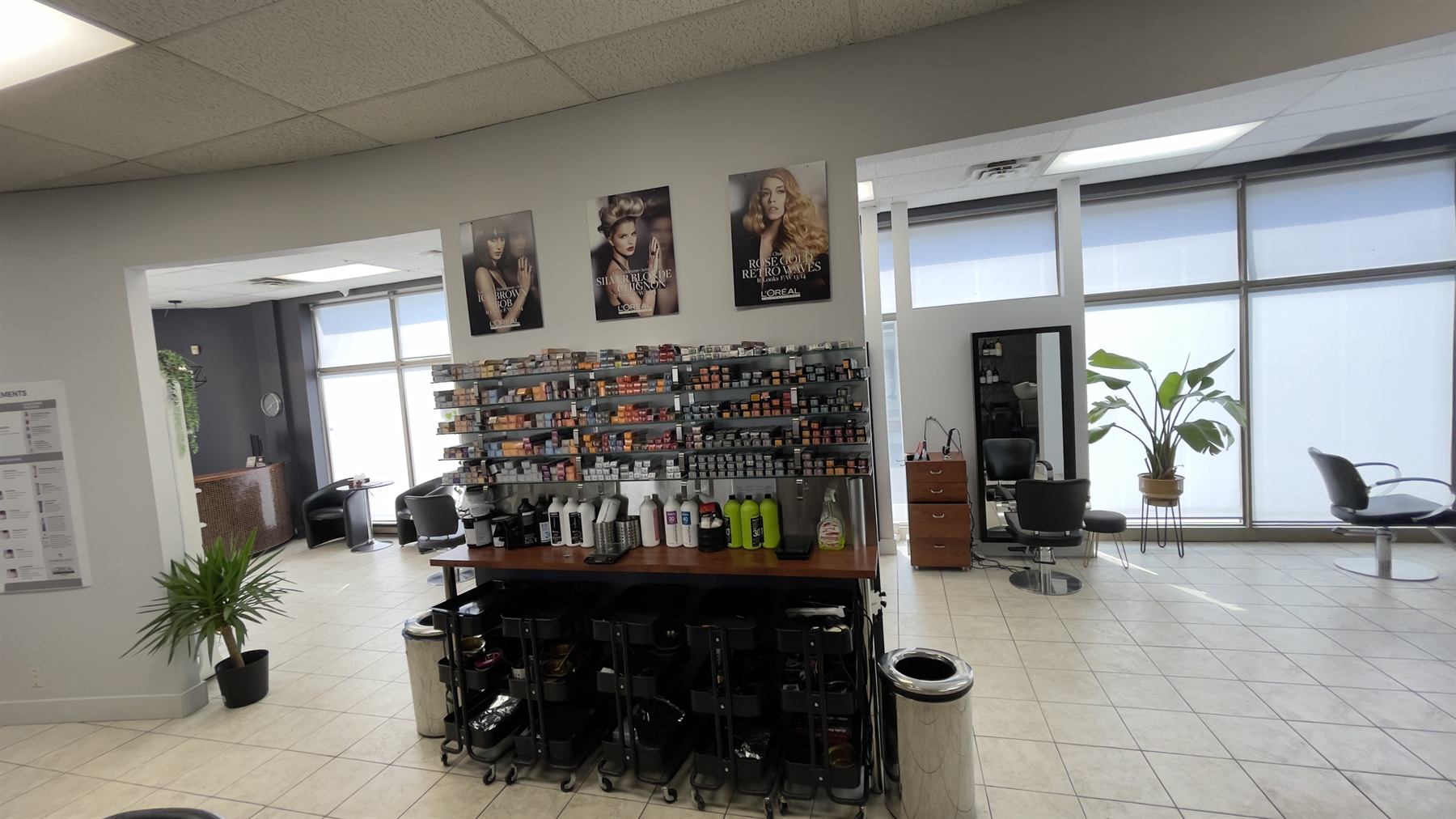 Bar à couleurs L'Oréal Professionnel
